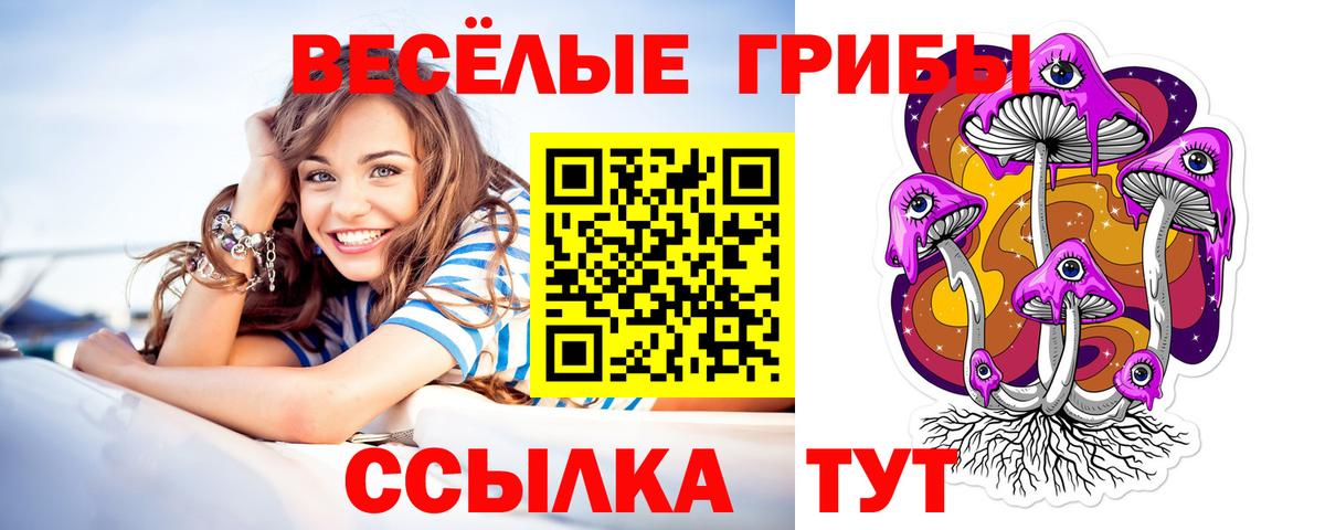 Протвино  Псилоцибиновые грибы мухоморы  сколько стоит  Вход с VPN 